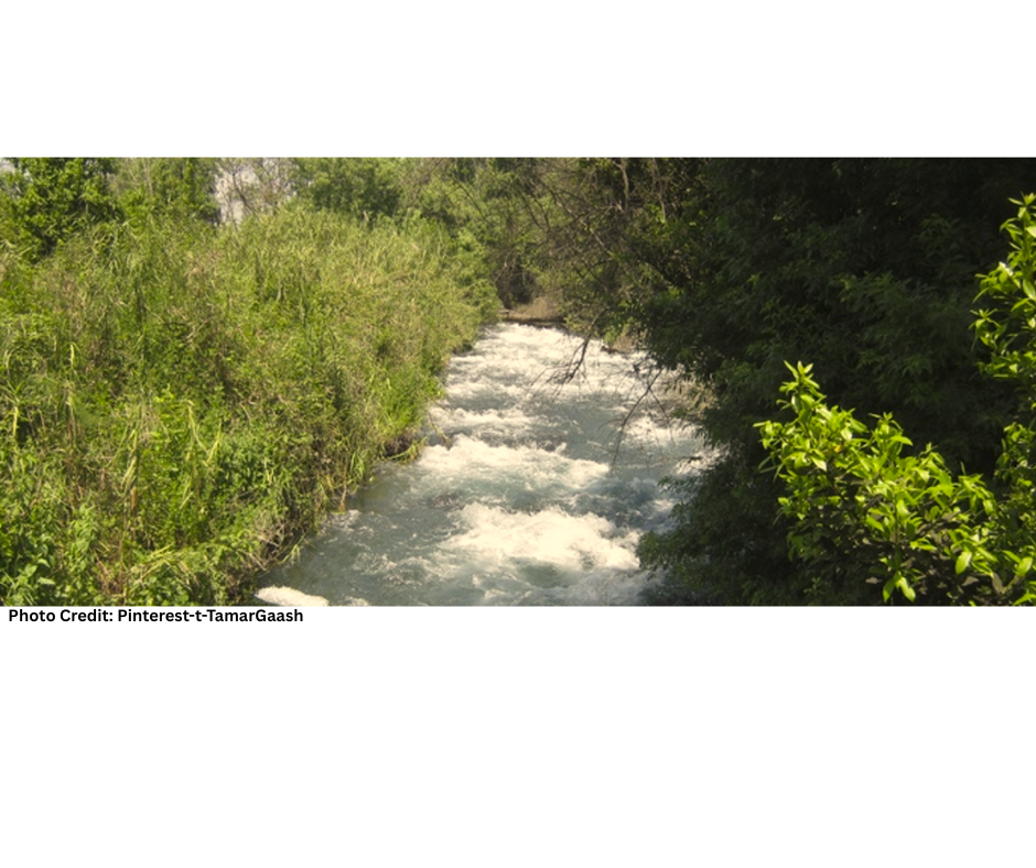 תל דן (הגליל)