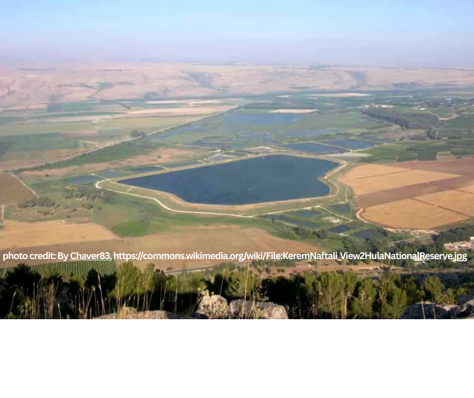 שמורת טבע החולה